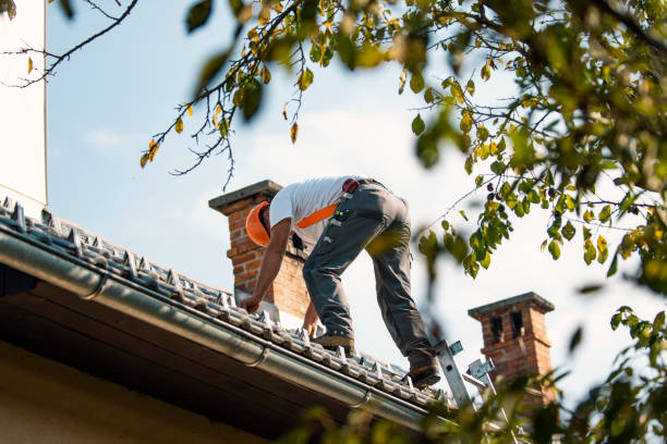 Best Roof Maintenance Services  in Parowan, UT