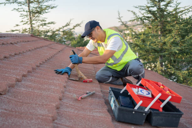 Best Roof Gutter Cleaning  in Parowan, UT